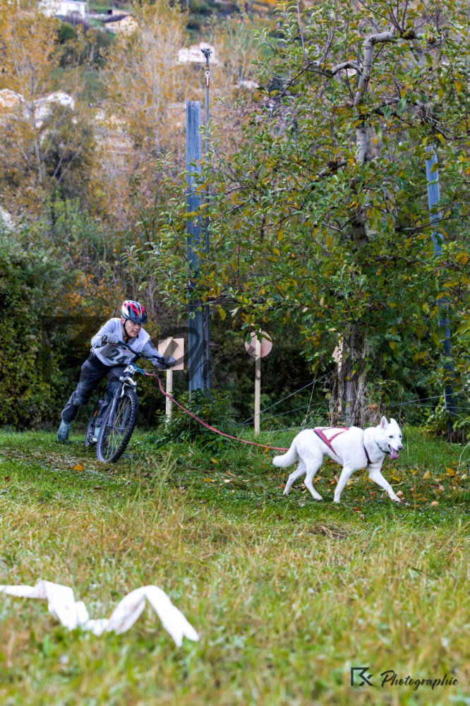Ardon-Dimanche-125